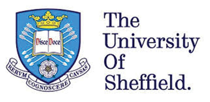 smlogo color